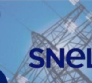 Semaine du 25 au 31 août : renforcement et amélioration de l’alimentation