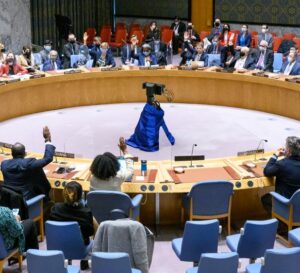 REUNION DU CSNU SUR LA RDC : EUGÈNE DIOMI NDONGALA POIGNARDE L&rsquo; AFC/M23 ET LE RWANDA.        