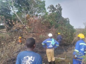 Lire la suite à propos de l’article Déboisement des arbres : La SNEL n&rsquo;est pas épargnée dans la province du Tanganyika !